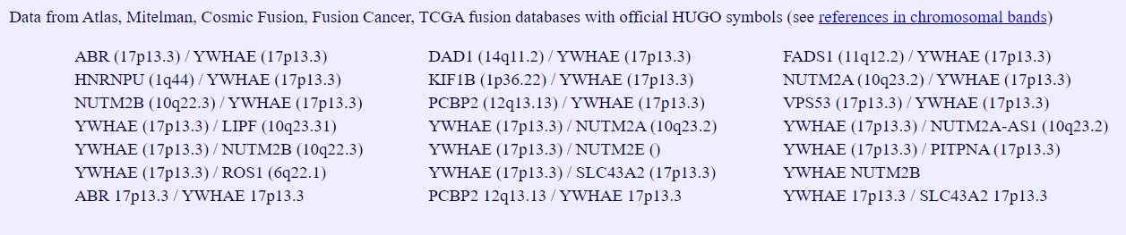 YWHAE fusion partners